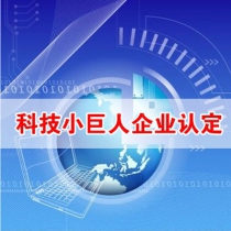 上海市科技小巨人企业认定