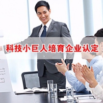 上海市科技小巨人培育企业认定