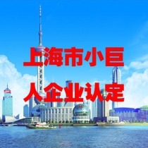 上海市小巨人企业认定